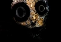Maere 3: Echo of Dread