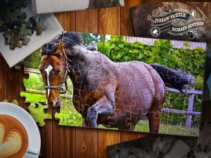 Jigsaw Puzzle Horses Edition Online Puzzle Game