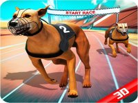 Pet Racing Arcade Game