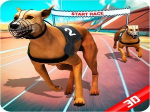 Crazy Dog Race Online Arcade Game