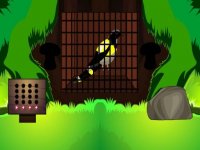 Feathered Friend Rescue: Puzzle Journey