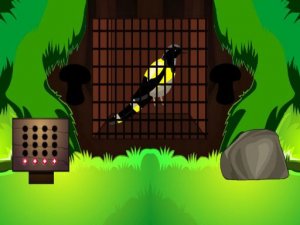 Black Bird Escape Puzzle Game