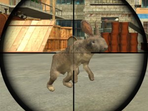 Hop & Spot: Precision Challenge