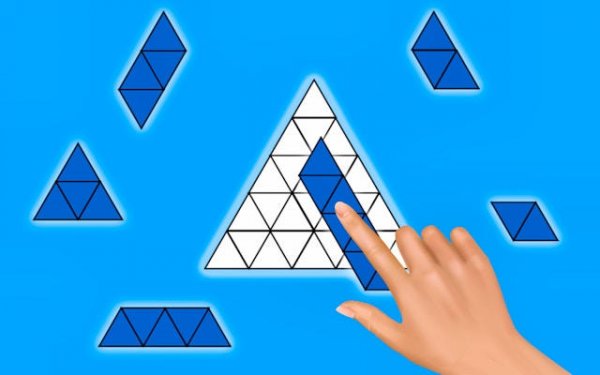Puzzle Block Fill It Completely - Shape Filling Puzzle Game Online