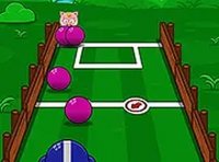 Compact Court Sports Showdown