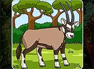 Animal Picture Puzzle Challenge
