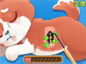 Paws & Care: Animal Rescue Adventure